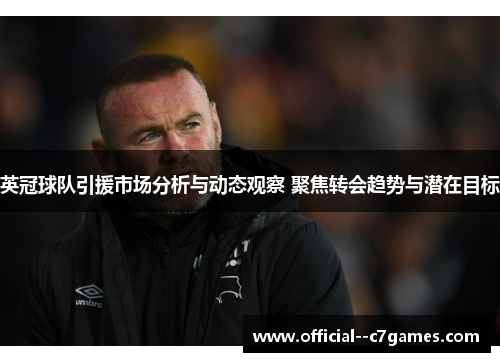 英冠球队引援市场分析与动态观察 聚焦转会趋势与潜在目标 英冠球队引援市场分析与动态观察 聚焦转会趋势与潜在目标